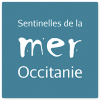 Ramassage des déchets pour le réseau "Sentinelles de la Mer Occitanie"