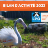 Bilan d'activité 2023 du Centre de sauvegarde de Villeveyrac