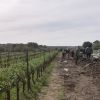 Les premiers chantiers de plantation de haies avec Des Enfants et Des Arbres !