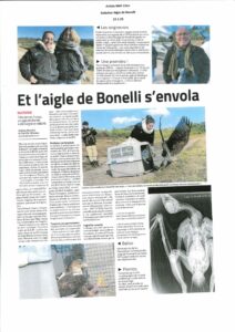 Relâcher Aigle Bonelli - Midi Libre