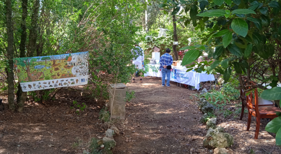 Stand (Nature et Sens) Maison Rouge 17-08-2024