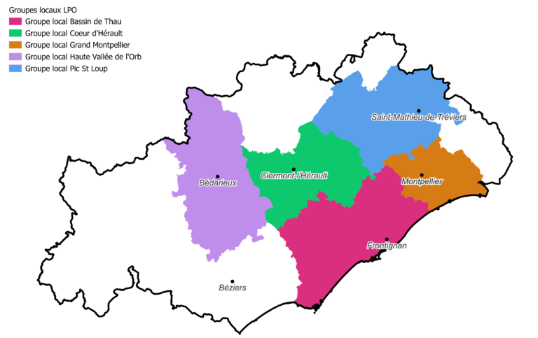Carte 1
