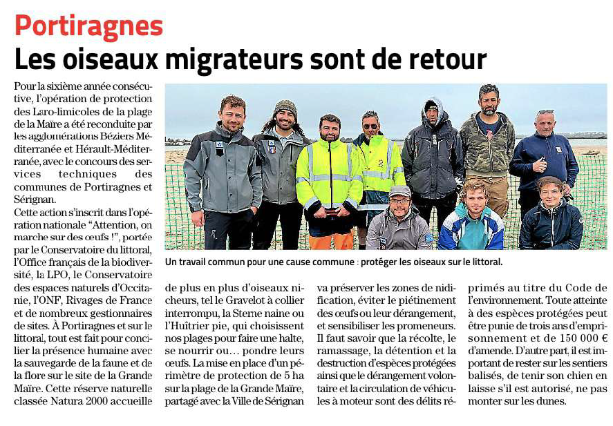 Capture d’écran 2025-05-15 112242