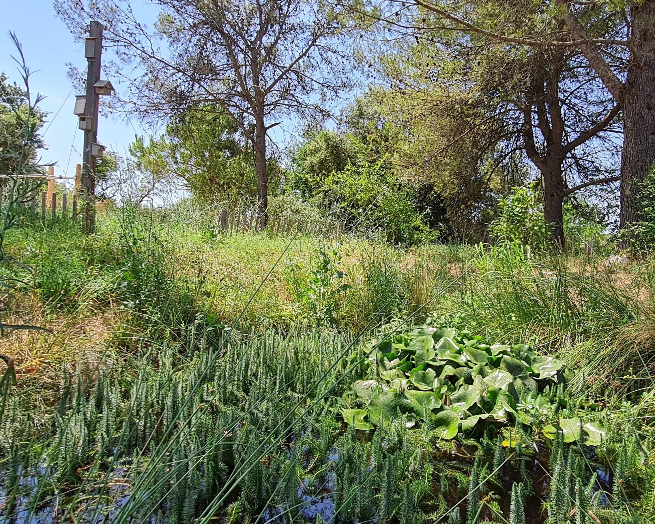 Etendards biodiversité ©LPO Occitanie (2)