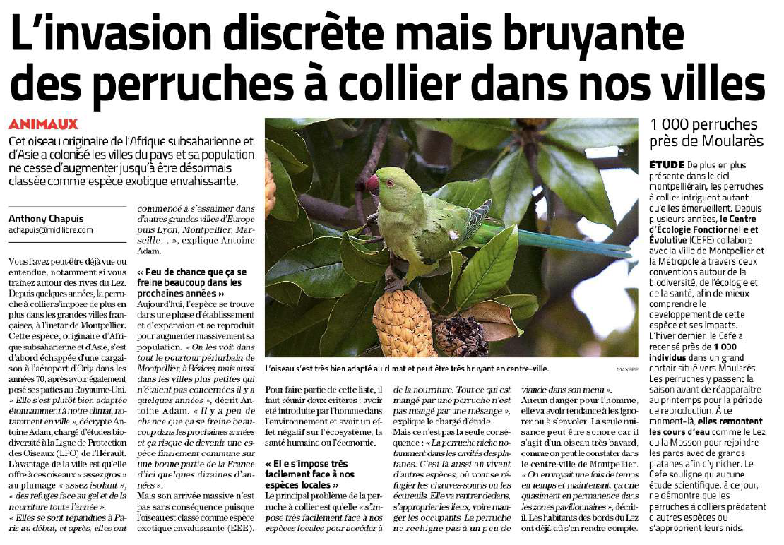 Capture d’écran 2025-09-08 101634
